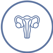 Outline of a female reproductive system icon in a circular border