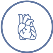 Outline of a heart icon in a circular border