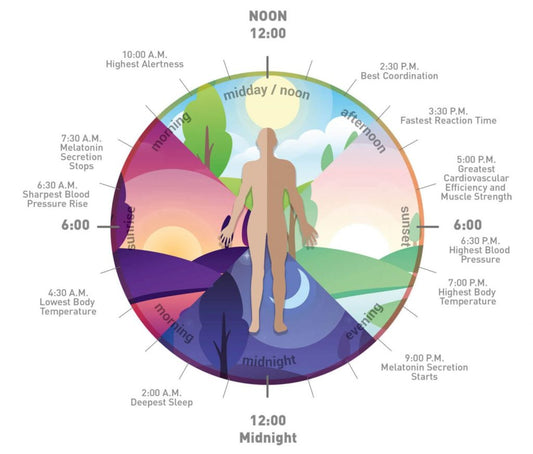 Earthing and Circadian Rhythm |  Hacking our Biological Clock
