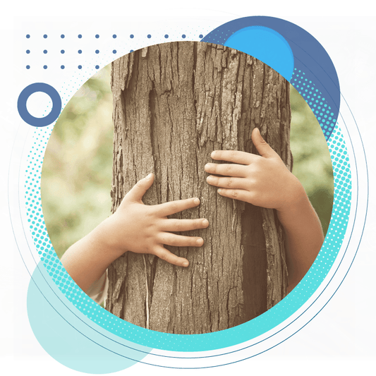 Earthing and Grounding: A Comprehensive Guide - Grooni Earthing