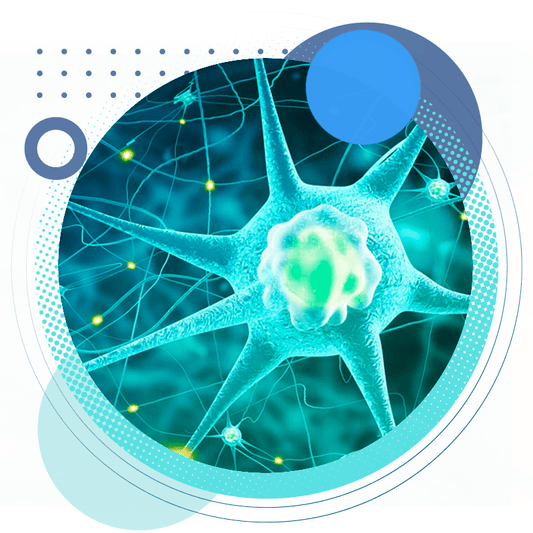 Earthing Benefits: Rebalancing Our Bioelectric System - Grooni Earthing