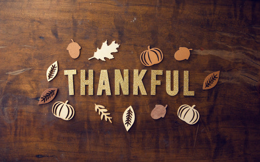 Grounding for Gratitude: How Earthing Can Enhance Your Thankfulness This November