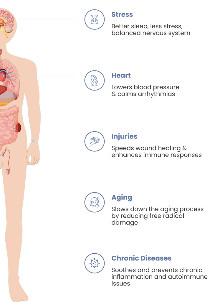 Earthing & Grounding Plush Sleeping Mat (FEATURED)